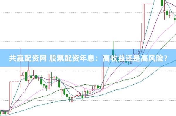 共赢配资网 股票配资年息：高收益还是高风险？