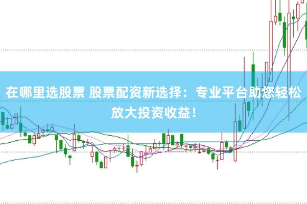 在哪里选股票 股票配资新选择：专业平台助您轻松放大投资收益！