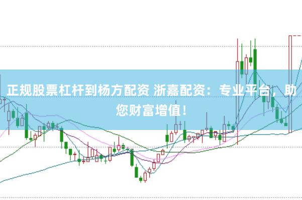 正规股票杠杆到杨方配资 浙嘉配资：专业平台，助您财富增值！