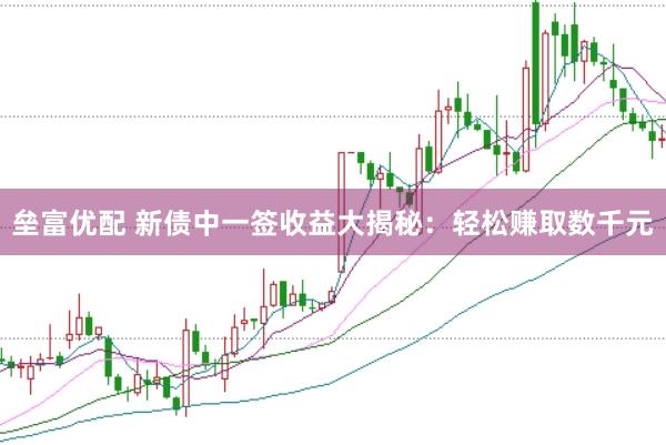 垒富优配 新债中一签收益大揭秘：轻松赚取数千元