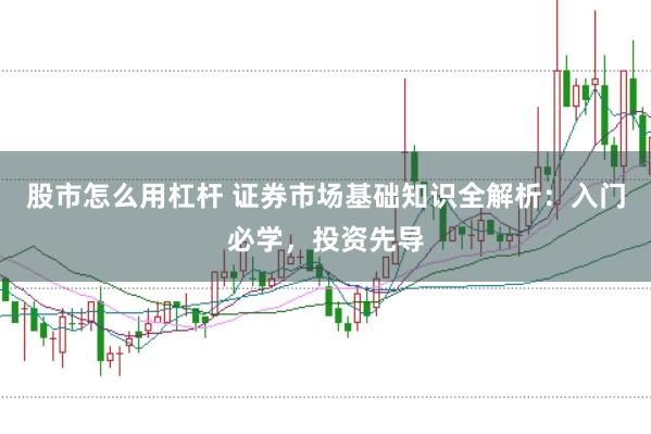 股市怎么用杠杆 证券市场基础知识全解析：入门必学，投资先导