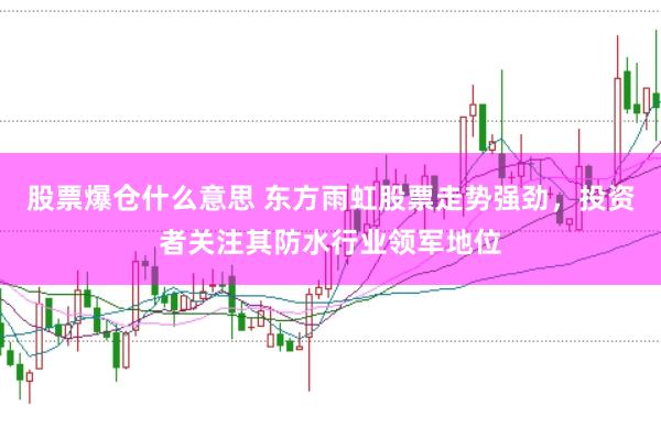 股票爆仓什么意思 东方雨虹股票走势强劲，投资者关注其防水行业领军地位