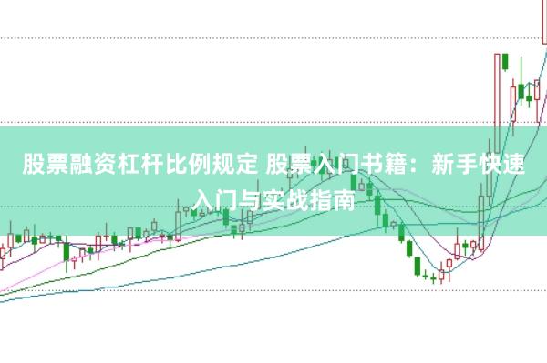 股票融资杠杆比例规定 股票入门书籍：新手快速入门与实战指南