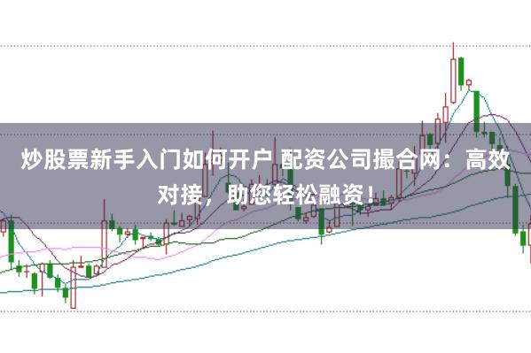 炒股票新手入门如何开户 配资公司撮合网：高效对接，助您轻松融资！