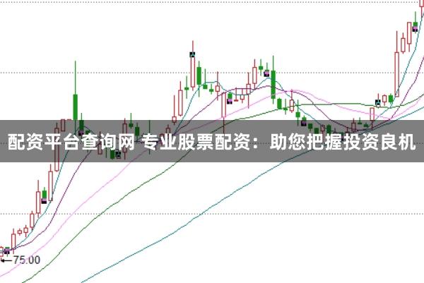配资平台查询网 专业股票配资：助您把握投资良机