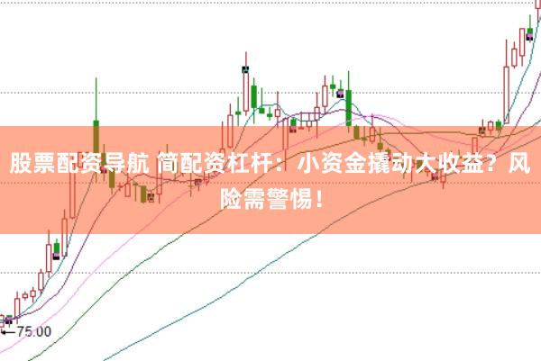 股票配资导航 简配资杠杆：小资金撬动大收益？风险需警惕！
