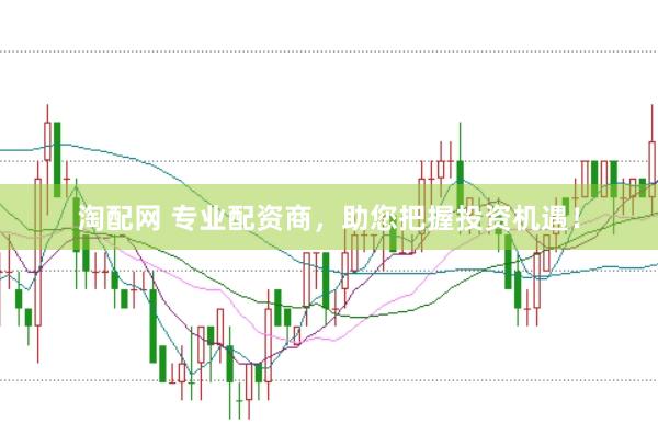 淘配网 专业配资商，助您把握投资机遇！