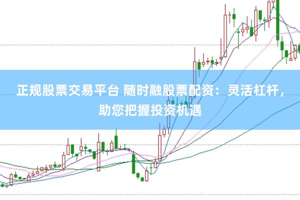正规股票交易平台 随时融股票配资：灵活杠杆，助您把握投资机遇
