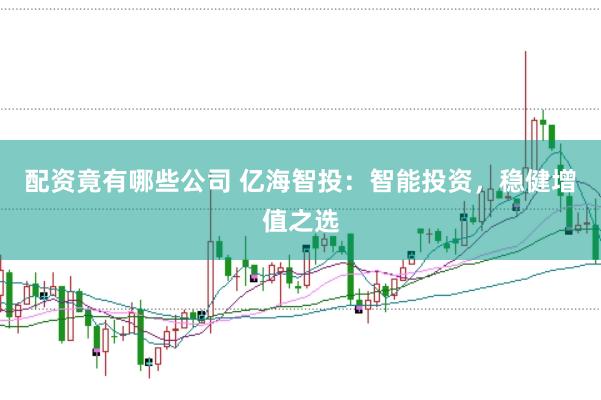 配资竟有哪些公司 亿海智投：智能投资，稳健增值之选