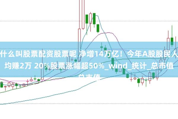 什么叫股票配资股票呢 净增14万亿！今年A股股民人均赚2万 20%股票涨幅超50%_wind_统计_总市值