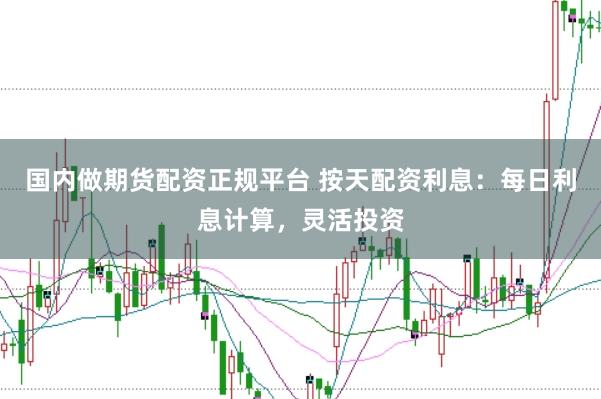 国内做期货配资正规平台 按天配资利息：每日利息计算，灵活投资