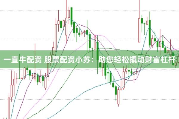 一直牛配资 股票配资小苏：助您轻松撬动财富杠杆