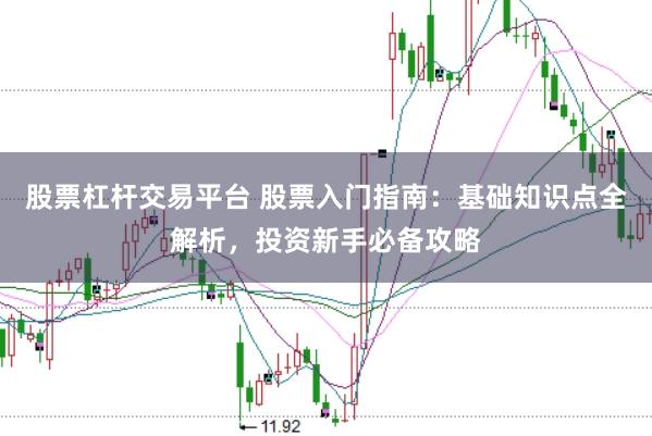 股票杠杆交易平台 股票入门指南：基础知识点全解析，投资新手必备攻略