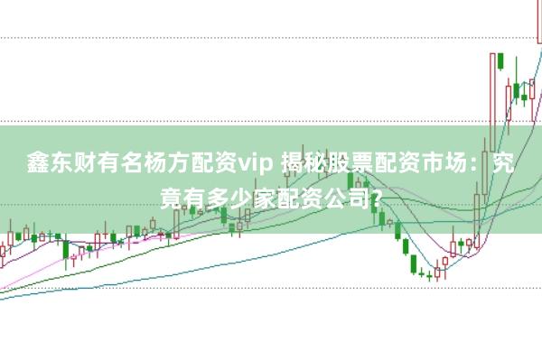 鑫东财有名杨方配资vip 揭秘股票配资市场：究竟有多少家配资公司？