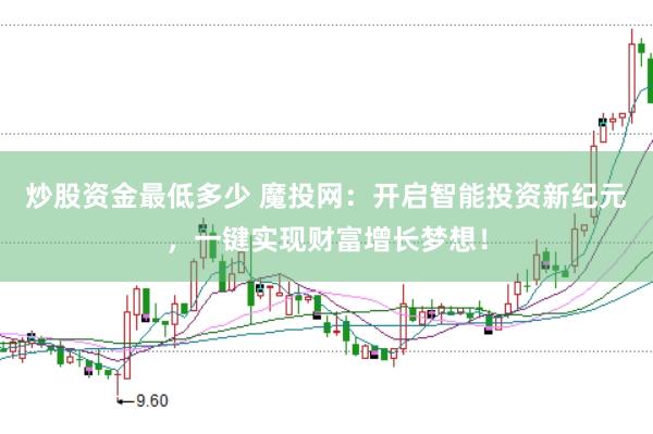 炒股资金最低多少 魔投网：开启智能投资新纪元，一键实现财富增长梦想！