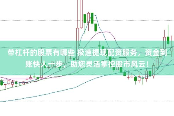 带杠杆的股票有哪些 极速提现配资服务，资金到账快人一步，助您灵活掌控股市风云！