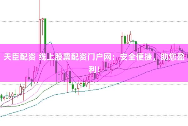 天臣配资 线上股票配资门户网：安全便捷，助您盈利！