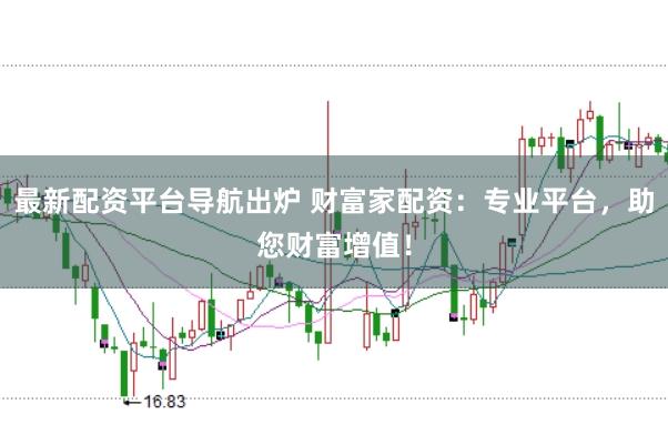 最新配资平台导航出炉 财富家配资：专业平台，助您财富增值！