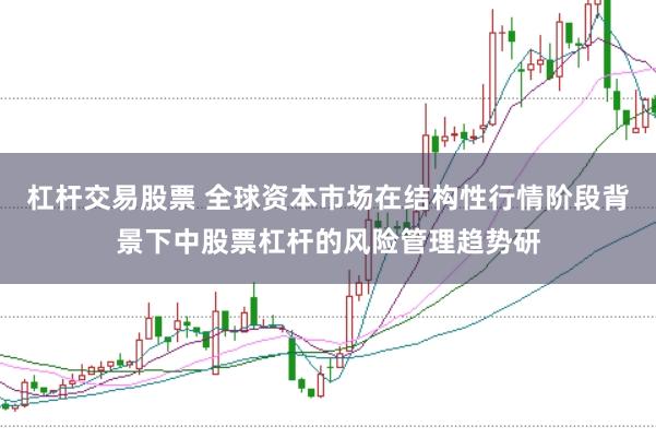 杠杆交易股票 全球资本市场在结构性行情阶段背景下中股票杠杆的风险管理趋势研